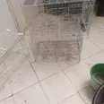 الصورة الأولى