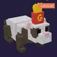 First Image