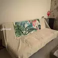 الصورة الأولى