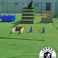 الصورة الأولى