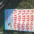 الصورة الأولى