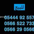الصورة الأولى