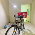 الصورة الأولى