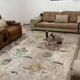 الصورة الأولى