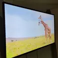 الصورة الأولى