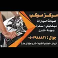 الصورة الأولى