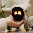الصورة الأولى