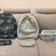 الصورة الأولى