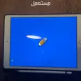 الصورة الأولى