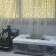 الصورة الأولى