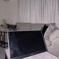 First Image
