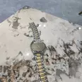 First Image