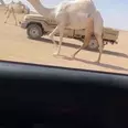 الصورة الأولى