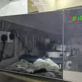 الصورة الأولى