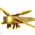 First Image