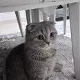 الصورة الأولى