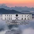 الصورة الأولى