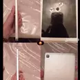 الصورة الأولى