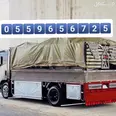 الصورة الأولى