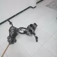 الصورة الأولى