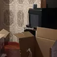 الصورة الأولى