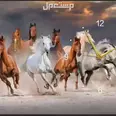 الصورة الأولى