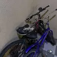 الصورة الأولى
