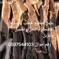 الصورة الأولى