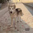الصورة الأولى