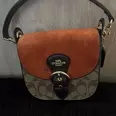 الصورة الأولى