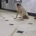 الصورة الأولى