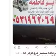 الصورة الأولى