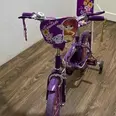 الصورة الأولى