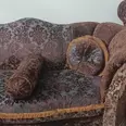 الصورة الأولى