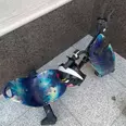 الصورة الأولى