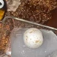 الصورة الأولى