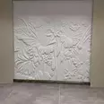 First Image