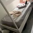 First Image