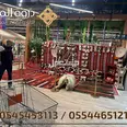 الصورة الأولى