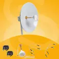 الصورة الأولى