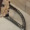 الصورة الأولى