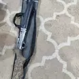 First Image