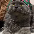 الصورة الأولى