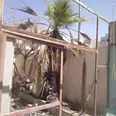 الصورة الأولى