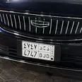 الصورة الأولى