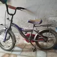 الصورة الأولى