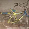 الصورة الأولى