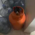 الصورة الأولى