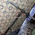 الصورة الأولى