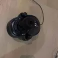 First Image